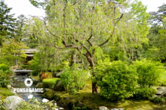 Japan - Park and River 1 (Watermarked)