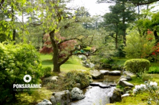 Japan - Park and River 2 (Watermarked)